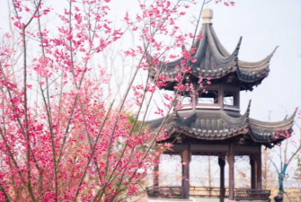 跟着春晚《贺花神》，来黎里赴花神之约！